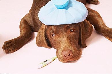 传《赛车计划4》《F1 2023》开发中